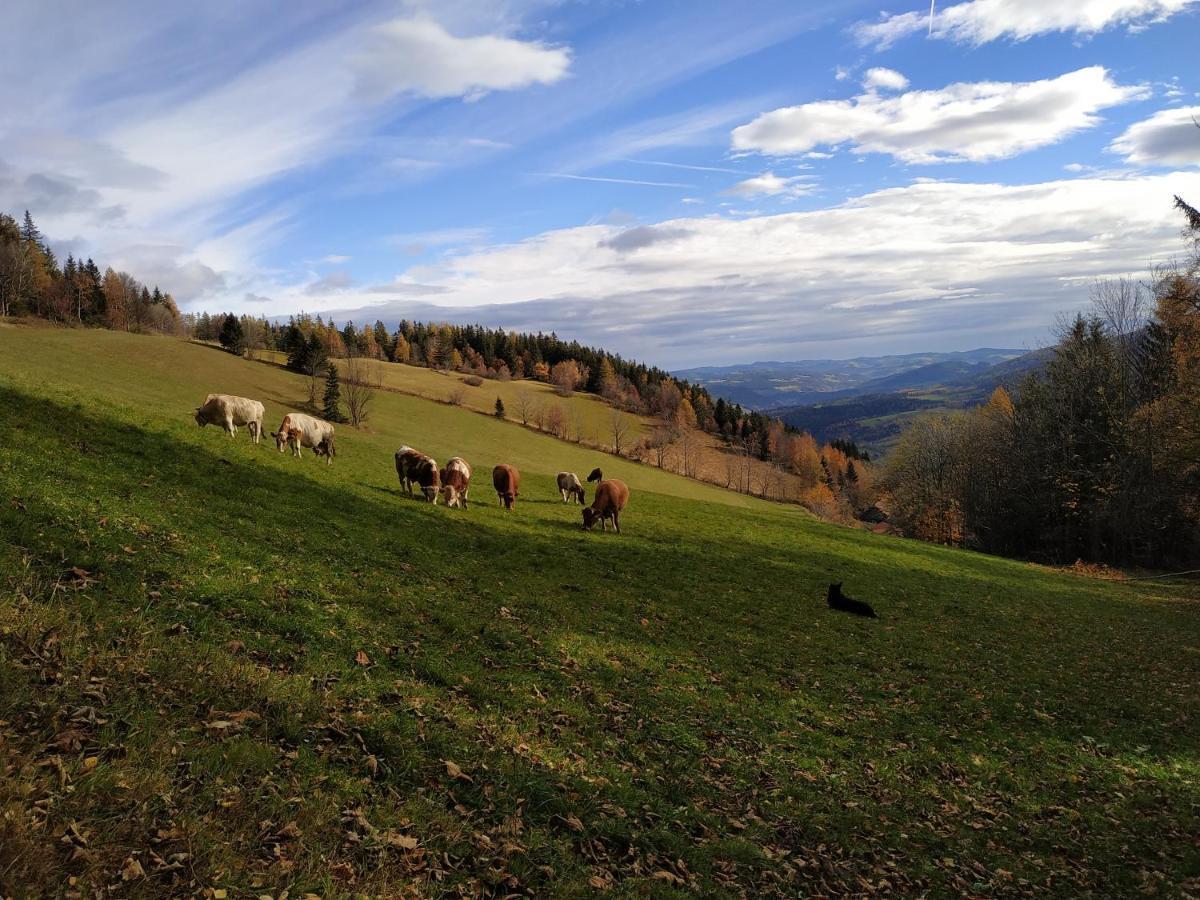 Almbauer Morgenbesser Trattenbach  Luaran gambar