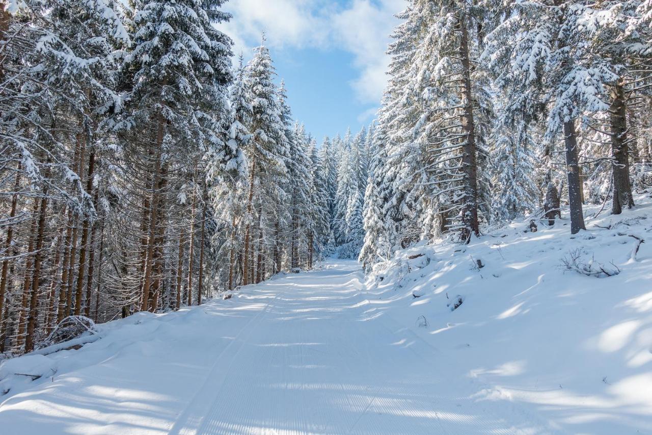 Almbauer Morgenbesser Trattenbach  Luaran gambar